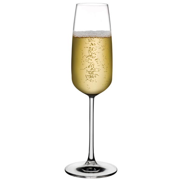 Mirage champagneglas 245 ml