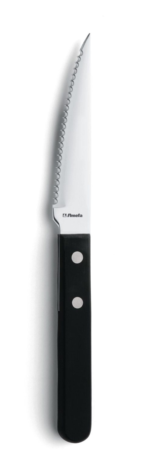 Steakmes 7000 Steak 21 cm 13/0 DS