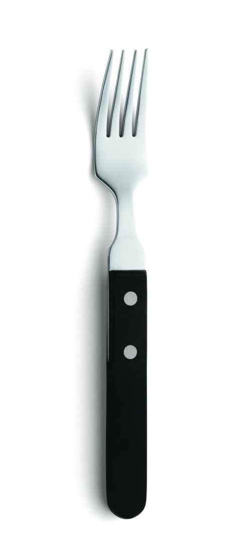 Steakvork 7000 Steak 20.1 cm HV