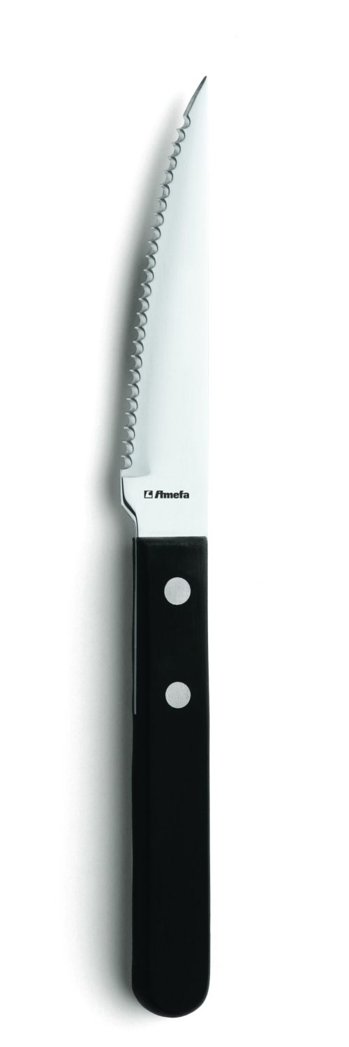 Steakmes 7000 Steak 21 cm 13/0 HV