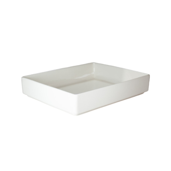 Buffet tray wit GN 1/2 32,1 x 26,2 x 6,5 cm