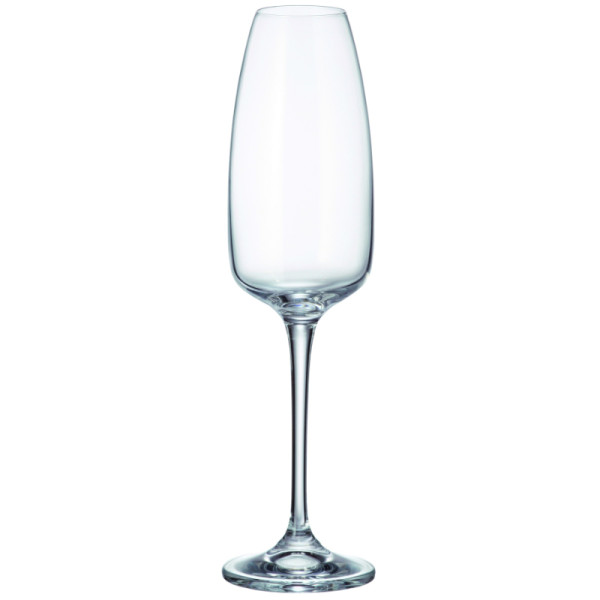 Anser champagne glas 290 ml