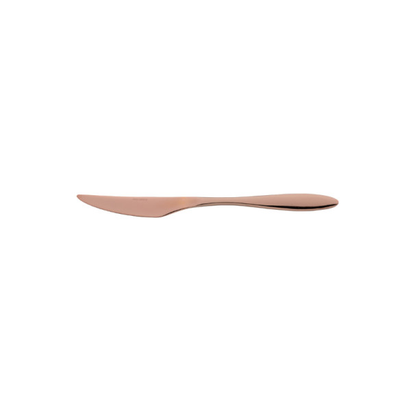 Gioia Matt Bronze 18/10 tafelmes 22,7 cm