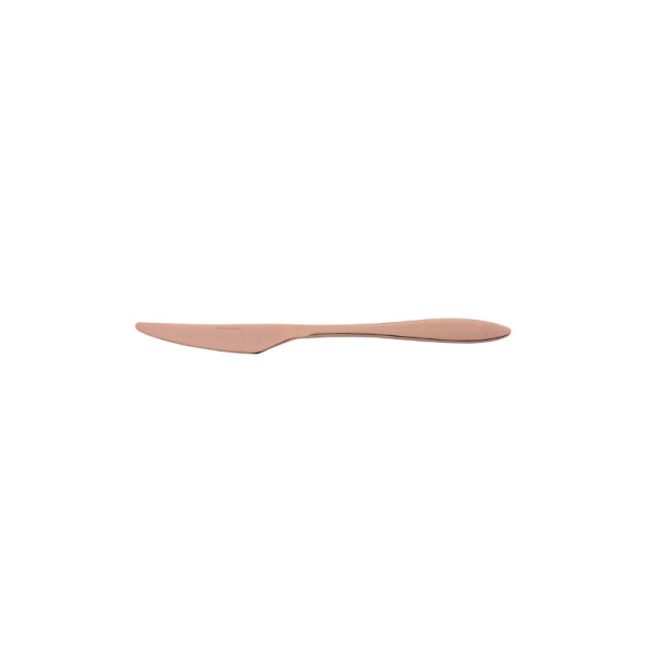 Gioia Matt Bronze 18/10 dessertmes 19,8 cm