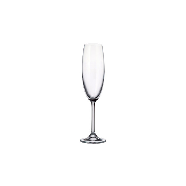 Colibri champagneglas 220 ml