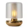 Humble Firefly Gold Frosted