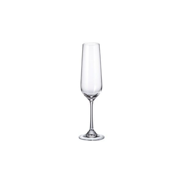 Strix champagneglas 200ml