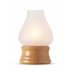 Aladdin Frosted White Light Wood (per stuk)