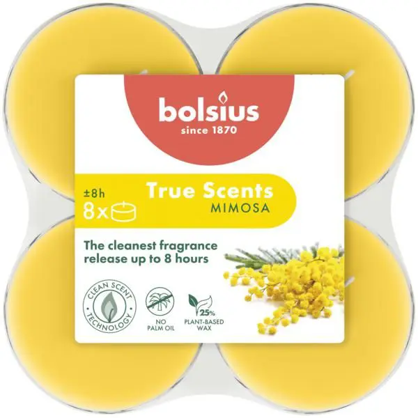 Bolsius Geurtheelicht Maxi <br /> Clear Cup True Scents Mimosa (8 stuks)
