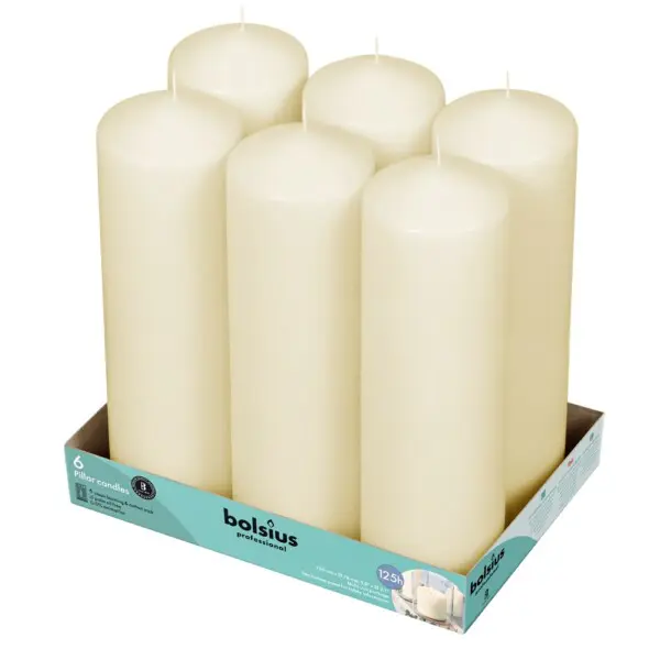 Bolsius Professional Stompkaars Ivoor 250/80 (per stuk)