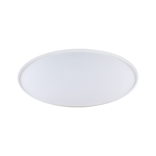 Suikerriet <br /> Bord Ø 32.5 cm <br /> (50 stuks)