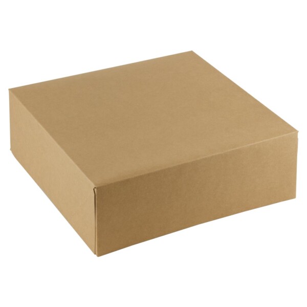 FSC® PLA taartdoos <br /> + klapdeksel <br /> 26 x 26 x 8 cm <br /> (20 stuks)